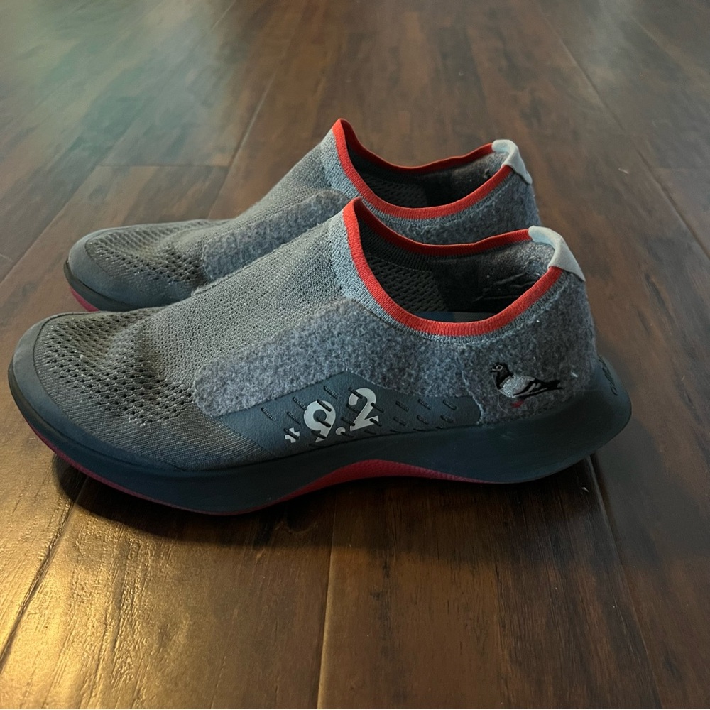 Allbirds Tree Dasher x Staple Pigeon